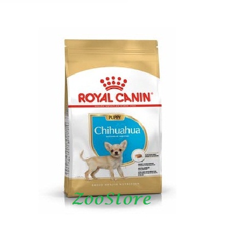 What to best sale feed chihuahua puppies